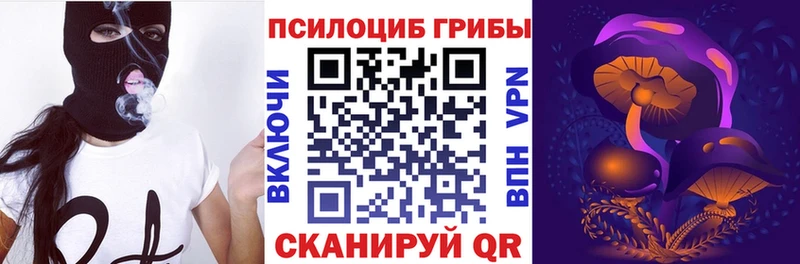 Галлюциногенные грибы Cubensis Кольчугино