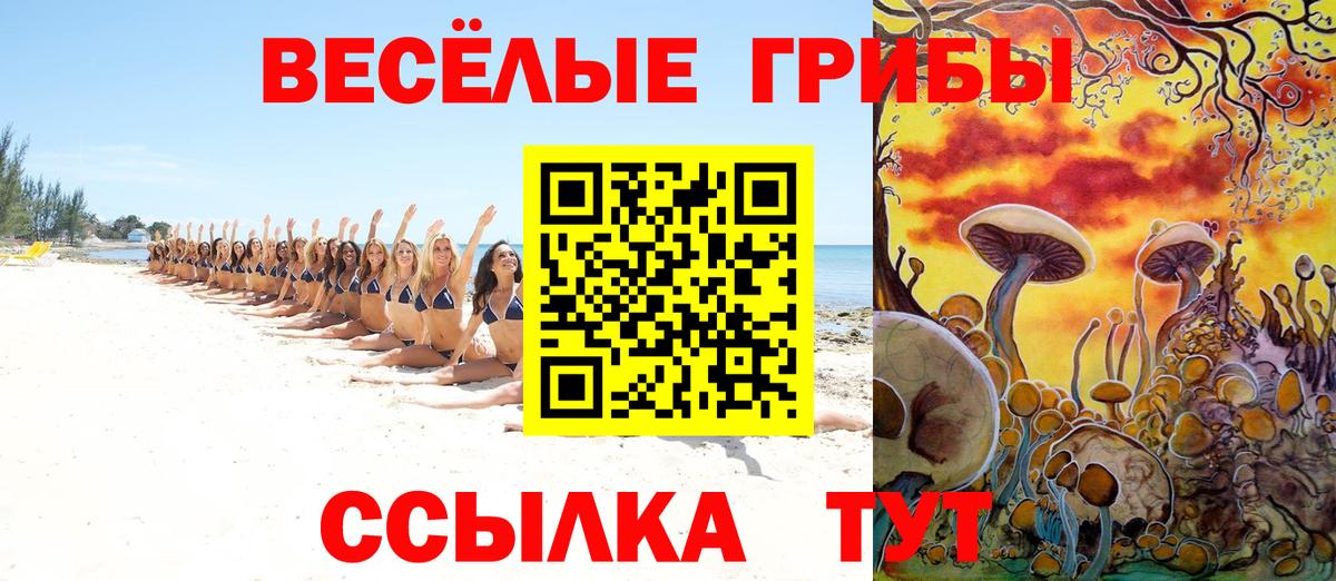 Галлюциногенные грибы GOLDEN TEACHER Кольчугино