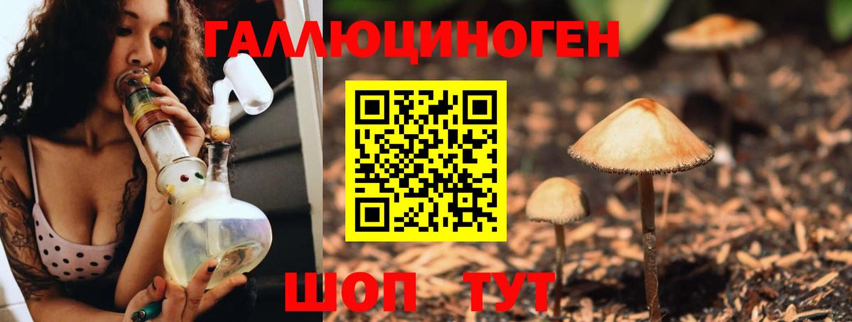 Галлюциногенные грибы Cubensis  Вход с VPN  купить наркотики цена  Кольчугино 