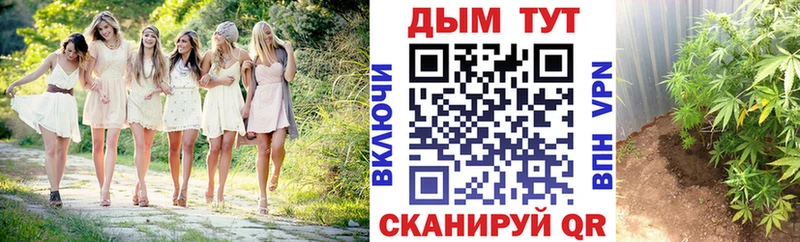 закладки  это телеграм  МАРИХУАНА Bruce Banner  Кольчугино 